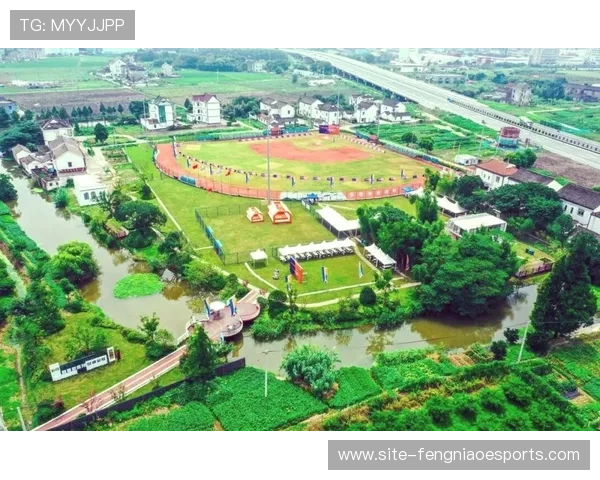 徐家埭村棒球产业链带动2024年村集体经营性收入690万元 徐家埭村棒球产业链带动2024年村集体经营性收入690万元