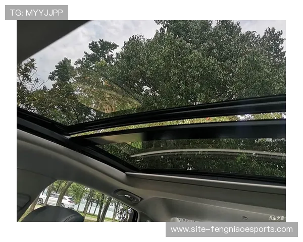 全疆摔跤邀请赛搭建跨地域交流平台，促进新疆各地区体育文化交流与民族团结